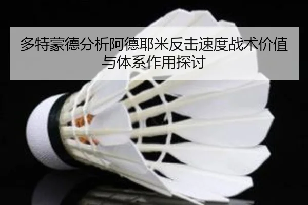duo-te-meng-de-fen-xi-a-de-ye-mi-fan-ji-su-du-zhan-shu-jia-zhi-yu-ti-xi-zuo-yong-tan-tao-2-485.jpg